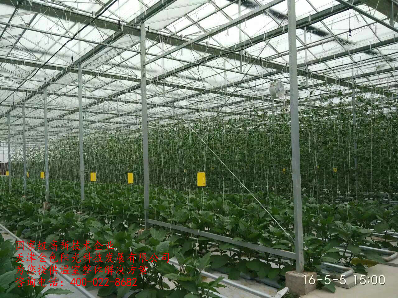 蔬菜種植溫室
